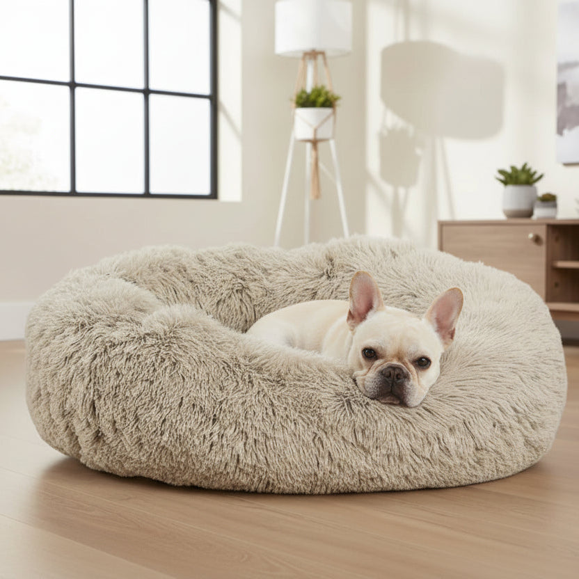 מיטת דונאט - אפרסק