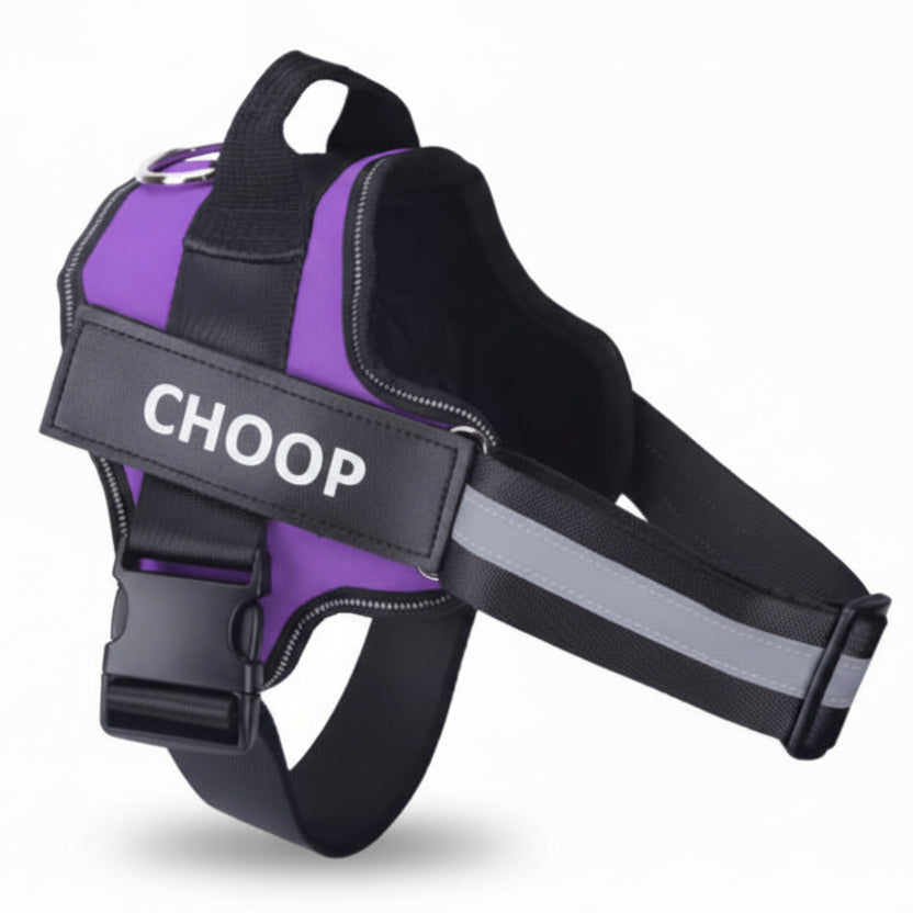 רתמת שם - סגול