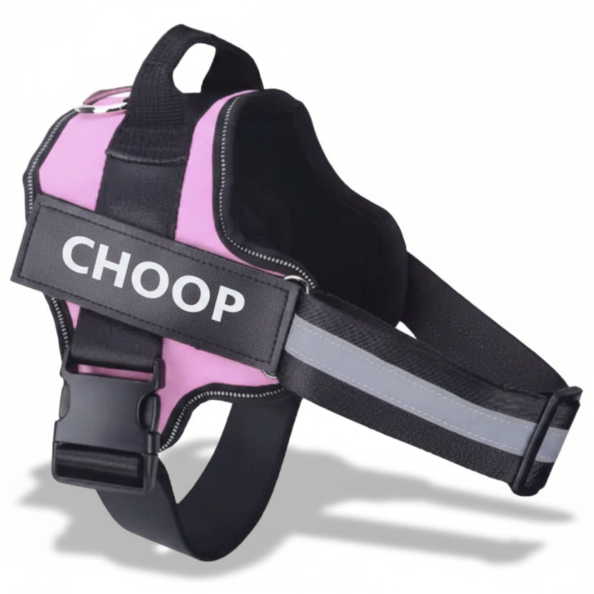 רתמת שם - ורוד עדין