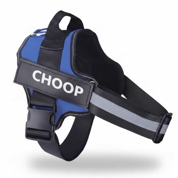 רתמת שם - כחול