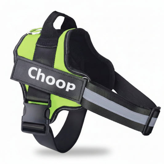 רתמת שם - ירוק