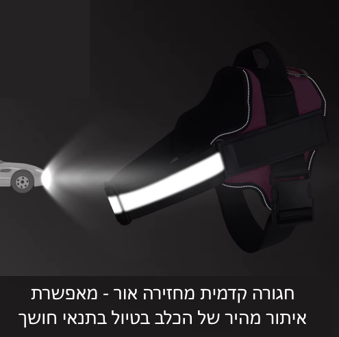 רתמת שם - כחול