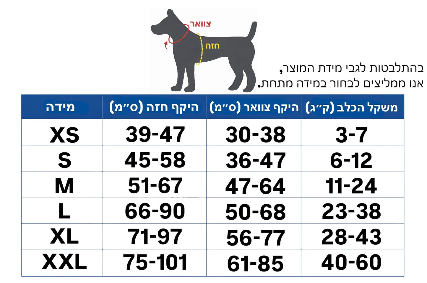 רתמת שם - כחול