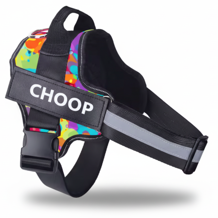 רתמת שם - צבעוני