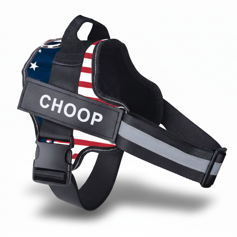 רתמת שם - אמריקה